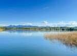 IMG_2585