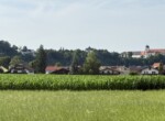 IMG_4611